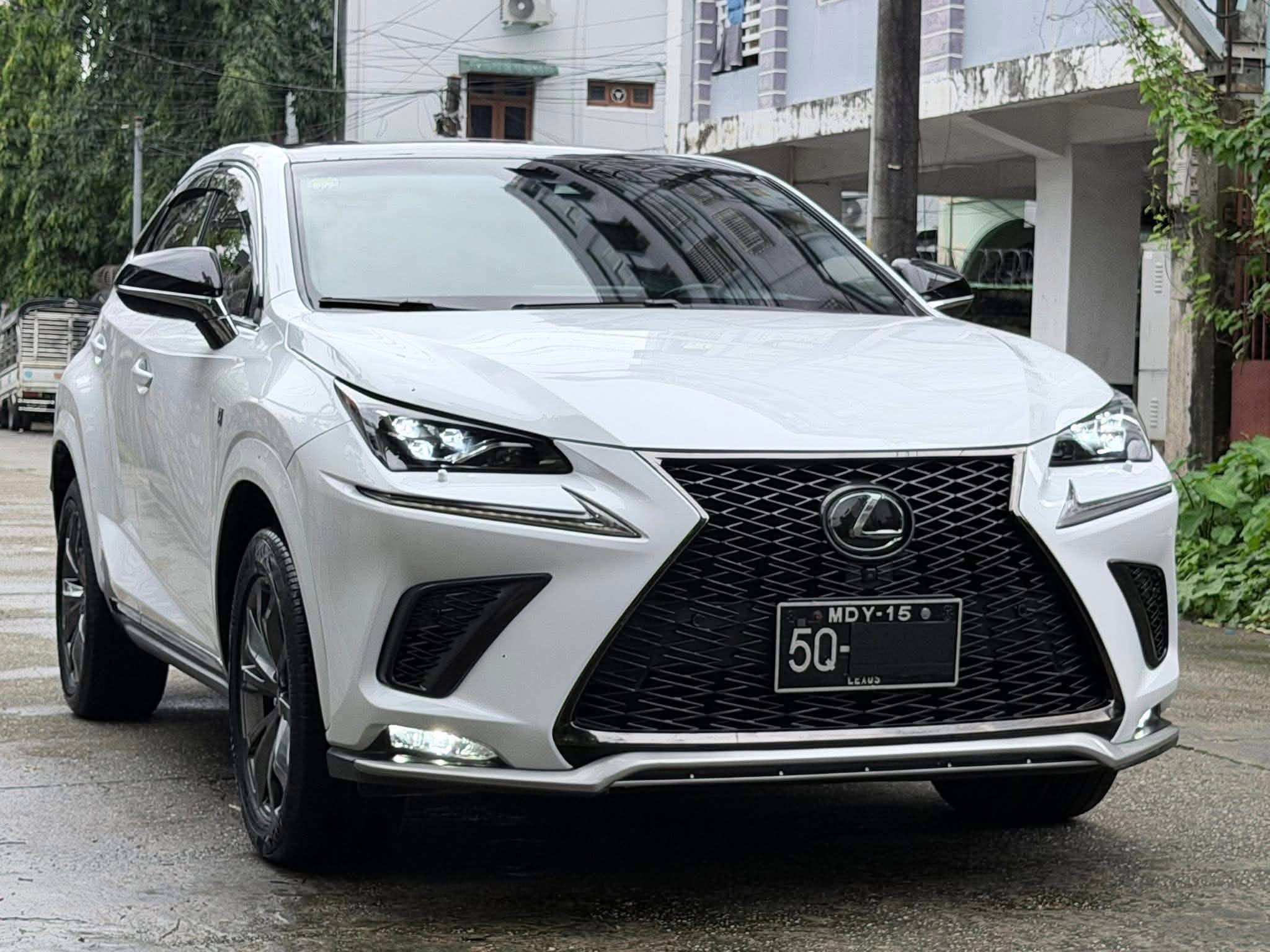 Lexus NX300 Platinum Option (Type 4) 2019 - photo 1